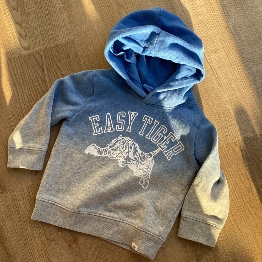 GAP 3T Graphic Ombre Hoodie Sweatshirt Easy Tiger